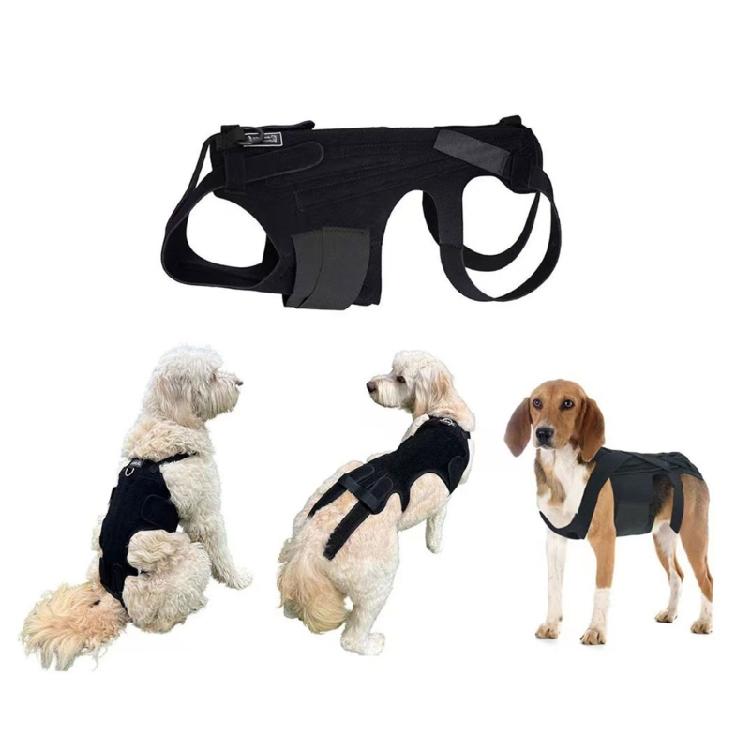 Dog Back Bracer Aid Recovery Flexible and Lightweight Promote Healing