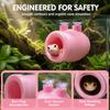 Wall Mounted Lizard Cave Shelter Suction Cup Reptile Cave Decoration  Pet Rest Nest