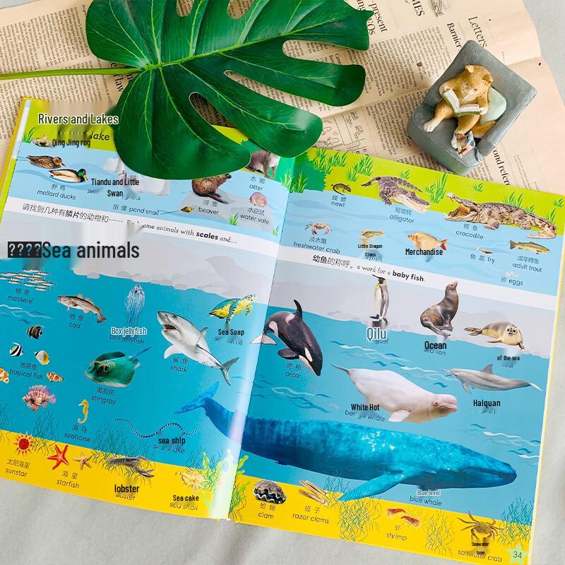DK Children's Bilingual Vocabulary 1000 Sound Book
