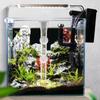 With Suction Cup Aquarium Fish Tank Feeder Set Transparent Shrimp Feeding Tube New Feeder Bowl
