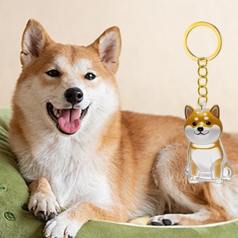 2/3/4/5/10 Pezzi Portachiavi Memoriale per Animali Domestici Con Raccoglitore Peli Trasparente Regalo Perfetto Per Proprietari di Gatti e Cani in Lutto Portachiavi Ricordo