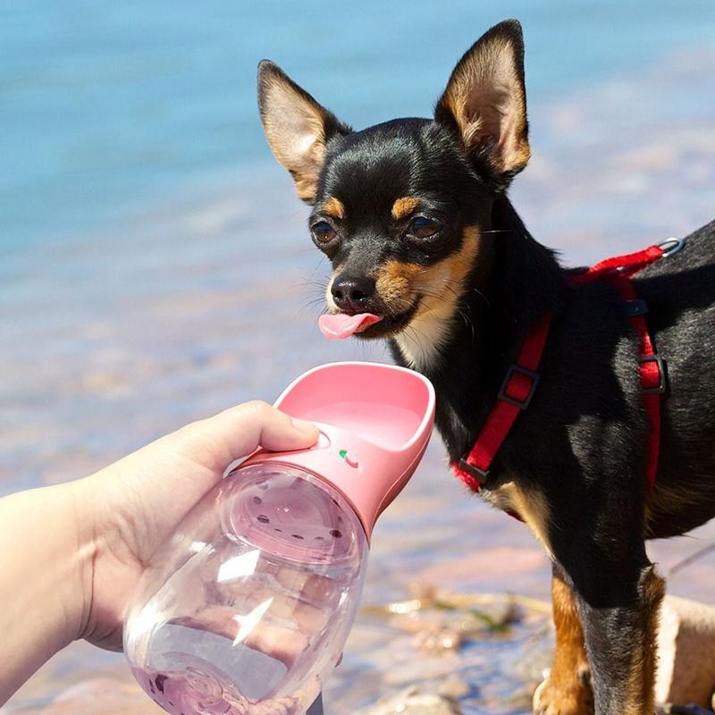 Travel Puppy Big Dog Cat Drinking Bowl Convenient Pet Water Bottle for Dogs Animals Kettle Feeder Container mascotas Accessories