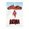 Vintage Metal Tin Poster Japanese Anime Classic Character Akira Metal Tin Signs Posters Plate Wall Decor for Bars Cafe Clubs
