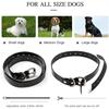 Anti-bark Collar - LPNOVE - 800m - 99 Levels - Rechargeable - Rain Resistant