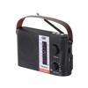 Radio portable solaire multibande RA 7F25 BT noire Trevi - FM/AM/SW, lecteur MP3, Bluetooth