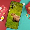 Étui Animal Capybara Pour Samsung Galaxy A17 A55 A35 A15 A32 A52 A13 A33 A53 A14 A34 A54 A06 A16 A26 A36 A56