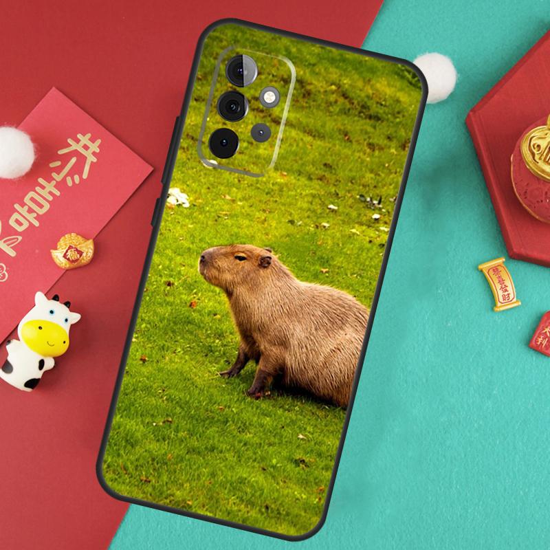 Étui Animal Capybara Pour Samsung Galaxy A17 A55 A35 A15 A32 A52 A13 A33 A53 A14 A34 A54 A06 A16 A26 A36 A56