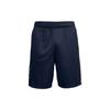 Shorts Men's Dark Blue 1306443-409