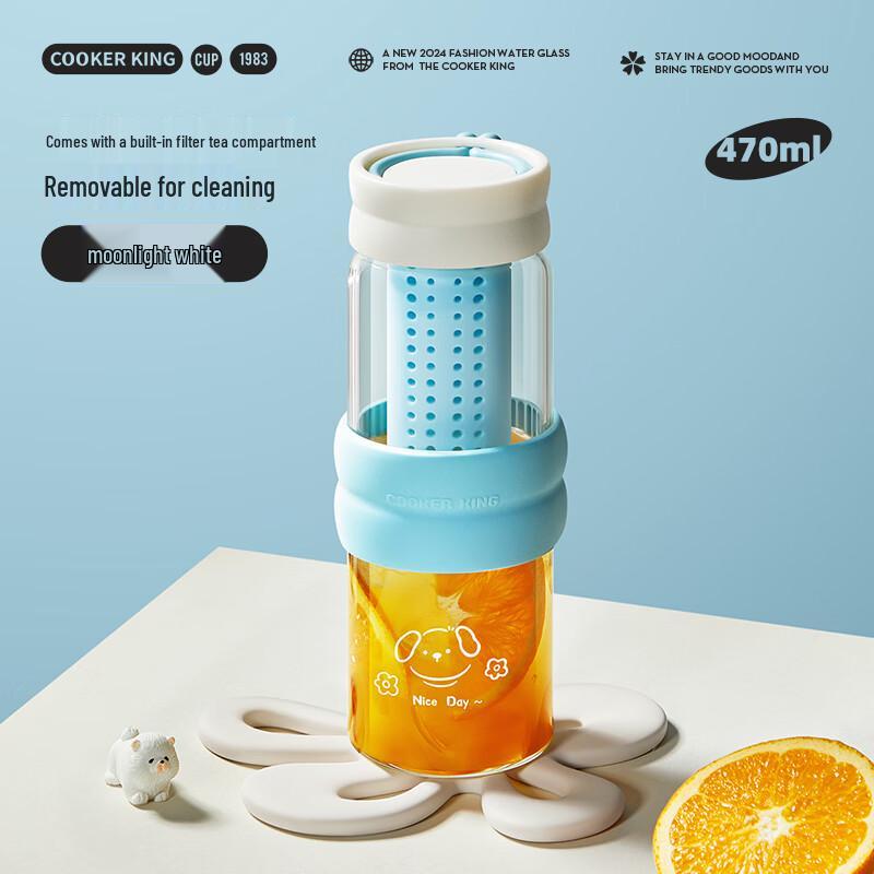 COOKER KING Glass Tea Infuser Bottle