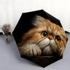 Persian Cat pattern, automatic folding umbrella, portable and foldable design, 8 ribs, a Christmas or birthday gift.
