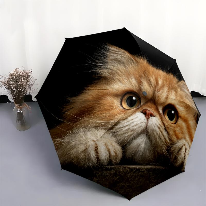 Persian Cat pattern, automatic folding umbrella, portable and foldable design, 8 ribs, a Christmas or birthday gift.