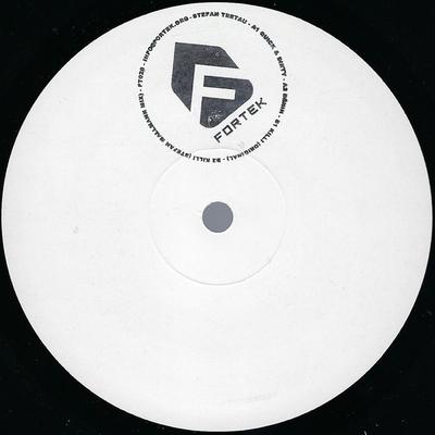 12-Zoll Schallplatte STEFAN TRETAU - Quick & Dirty EP FT020 Fortek 2008 Niederlande Dance & Electronica Gebraucht