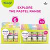 Fevicryl Acrylic Colours Pastel Paint Kit 10 X 15 Ml Tubes for Canvas Wood Leather Multi Surface DIY Art Supplies