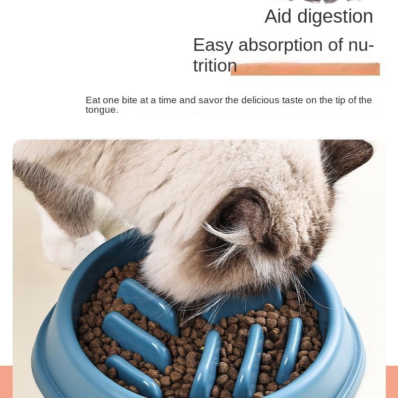 Dog Bowl Cat Bowl Slow Food Anti-choking Feeder Large Capacity Anti-skid Pet Bowl  ODM Supplier