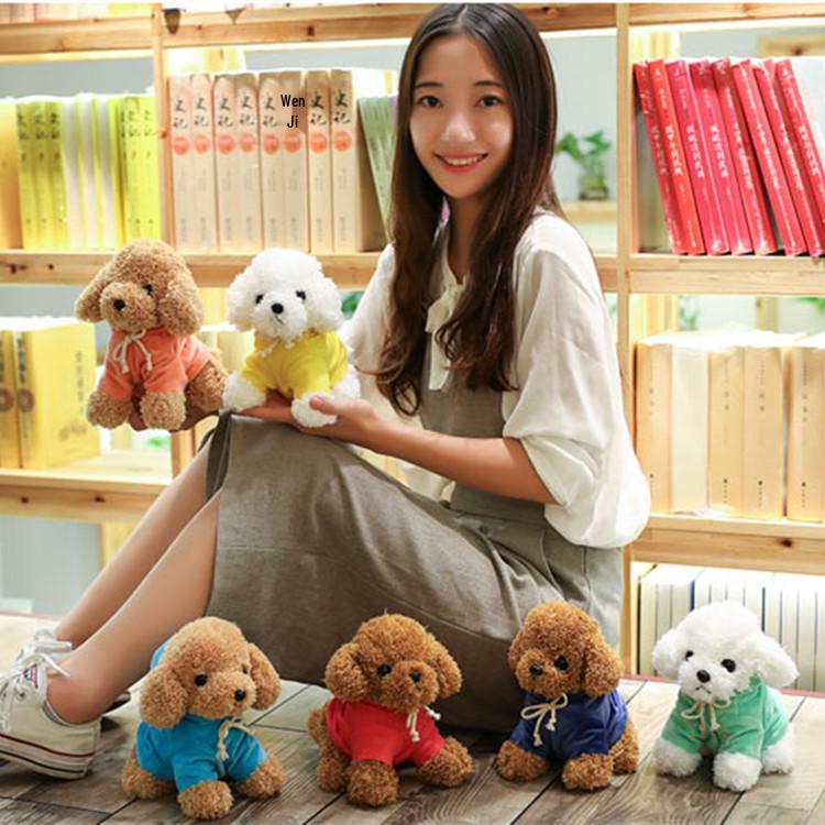 Curly Teddy Dog Plush Doll - Children's Birthday Gift Ragdoll Toy
