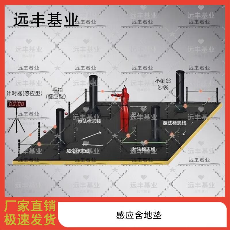 Yuanfeng Jiyuan Interactive Combat Training & Assessment System