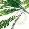 2PCS Artificial Persian Fern Leaf Bundle Nordic-Style Green Plant Decor Home Decor Scenery Accent Grass