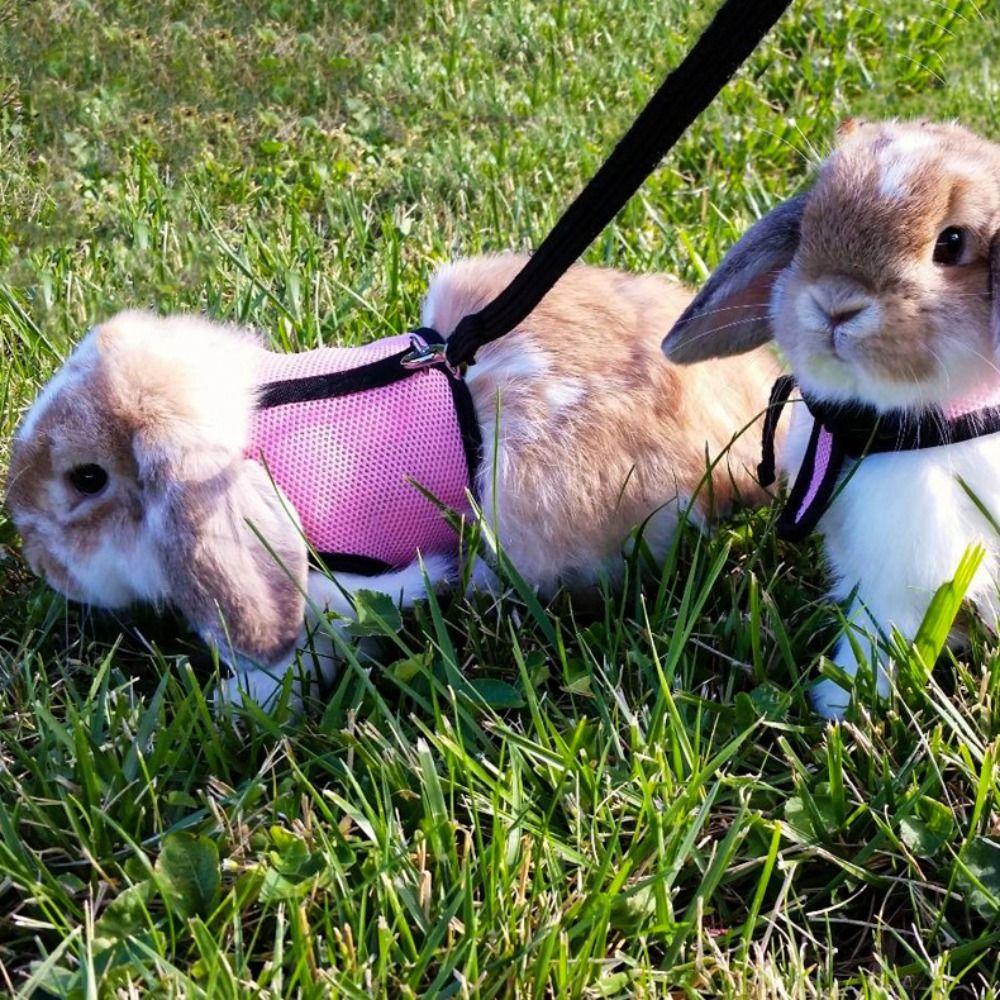 Stylish Rabbit Harness and Leash Set Breathable Pet Chest Strap Pets Supplies Pet Harness  Bunny