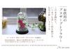 Art for Seasons Preserved Flowers (Pink)
