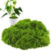 Falsk mossa 300g Konstgjorda gröna växter Mossa Gräs Hem Vardagsrum Trädgårdsdekoration Mini landskap Falsk blomma DIY-hantverk
