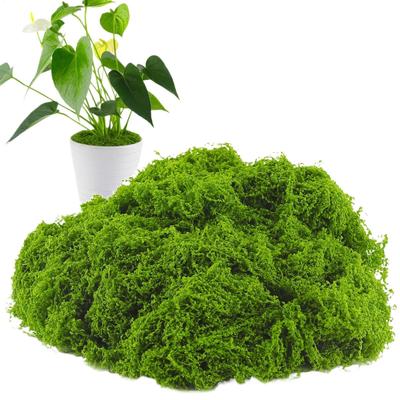 Faux Moss 300g Artificial Green Plants Moss Grass Home Living Room Garden Decoration Mini Landscape Fake Flower DIY Crafts