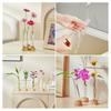 Glass Tube Vase with Wood Base Minimalist Flower Vase Single Stem Flower Vase for Flower Cuttings Home Table Centerpiece Office Desk