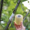 200M PE Grafting Tape Film Self-adhesive Garden Tree Plants Seedlings Vine Grafting Tape Stretchable Film 6/8/10/12cm Width