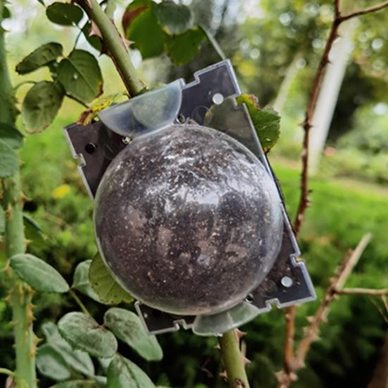 9Pcs Plant Propagator Ball Boost Plant Growth No Damage Translucent Increase Rooting Rate Indoor Outdoor Use