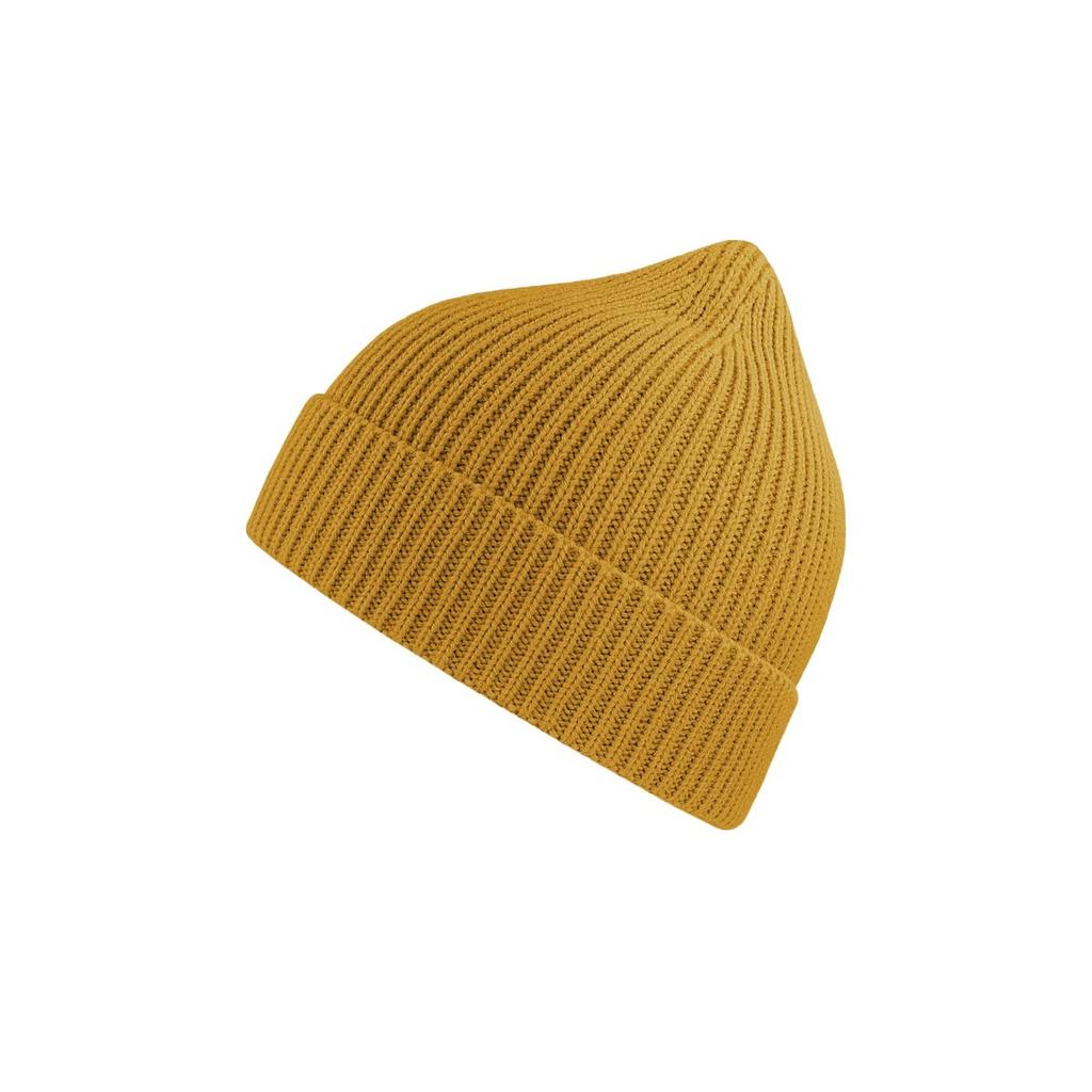 Atlantis Headwear Andy Beanie
