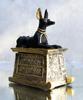 Ebros Gift Ebros Egyptian God Hieroglyph Anubis Dog Egyptian Miniature Cartouche Box Black and Gold Finish Gods and Goddesses Ancient Legendary Deity