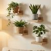 4 STuks Eenvoudige Wandplanken Rustieke Plantenbloempot Schaal Kleine Zwevende Planken Woonkamer