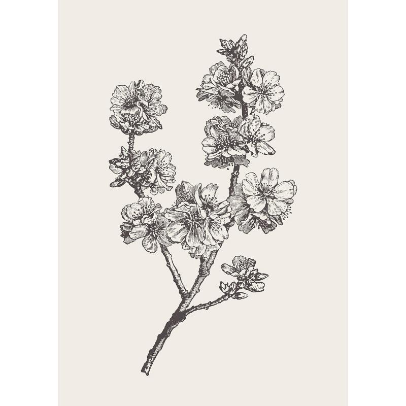 Apple Garlic Daisy Blossom Olive Branch Sketch Poster Print Vintage Botanical Drawing Canvas Painting for  Kitchen Room Decor