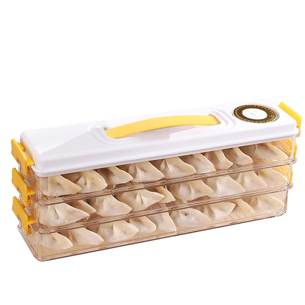 Dumpling Storage Container Food Grade Plastic Refrigerator Dumpling Storage Box for Home