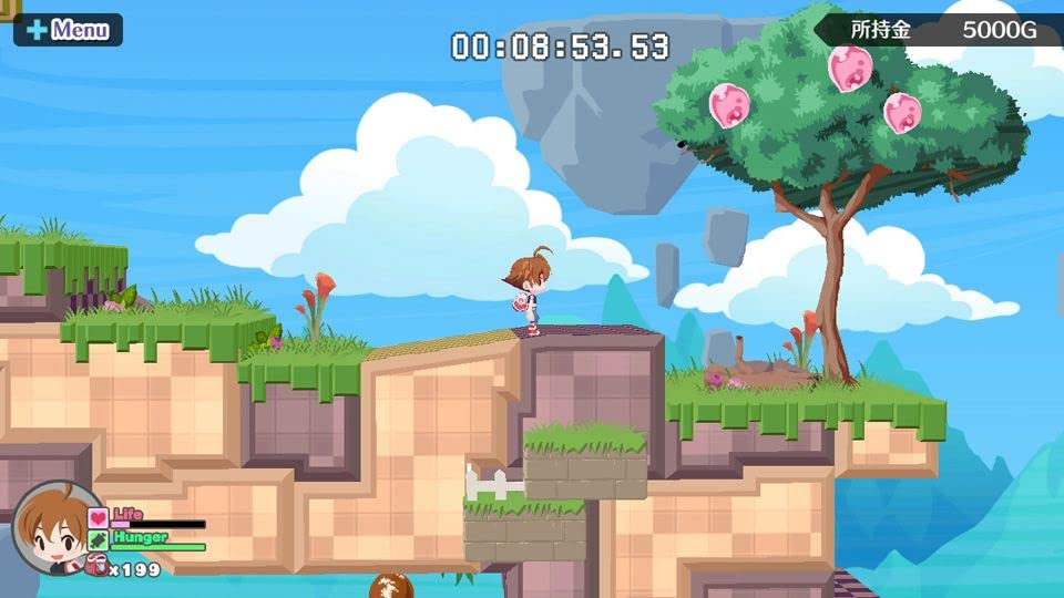 Success Umihara Kawase Fresh! NINTENDO SWITCH REGI