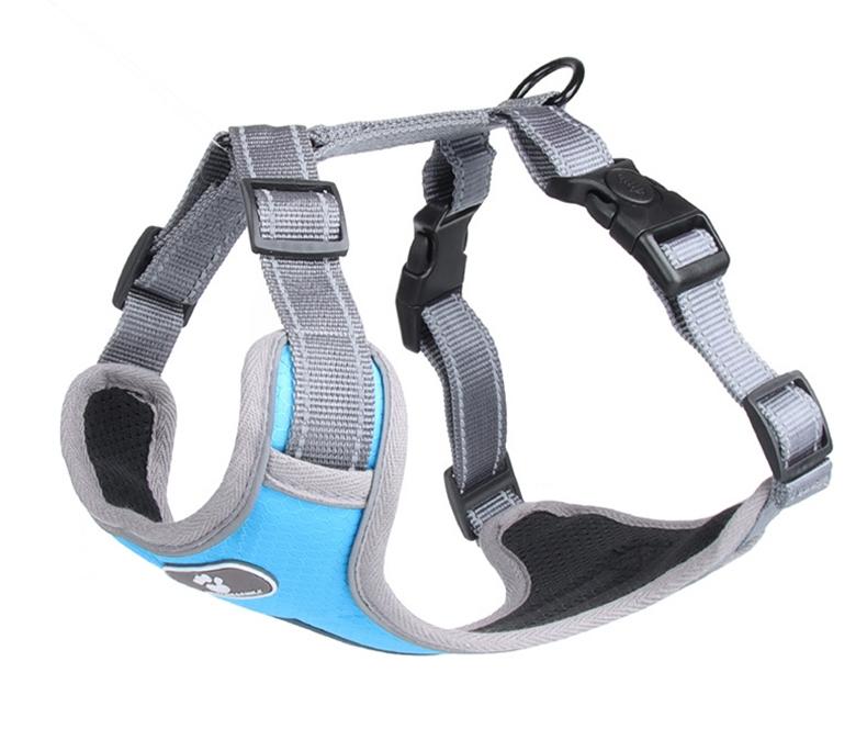 Astro Blue Training Harness For Walking Dogs, Size S
