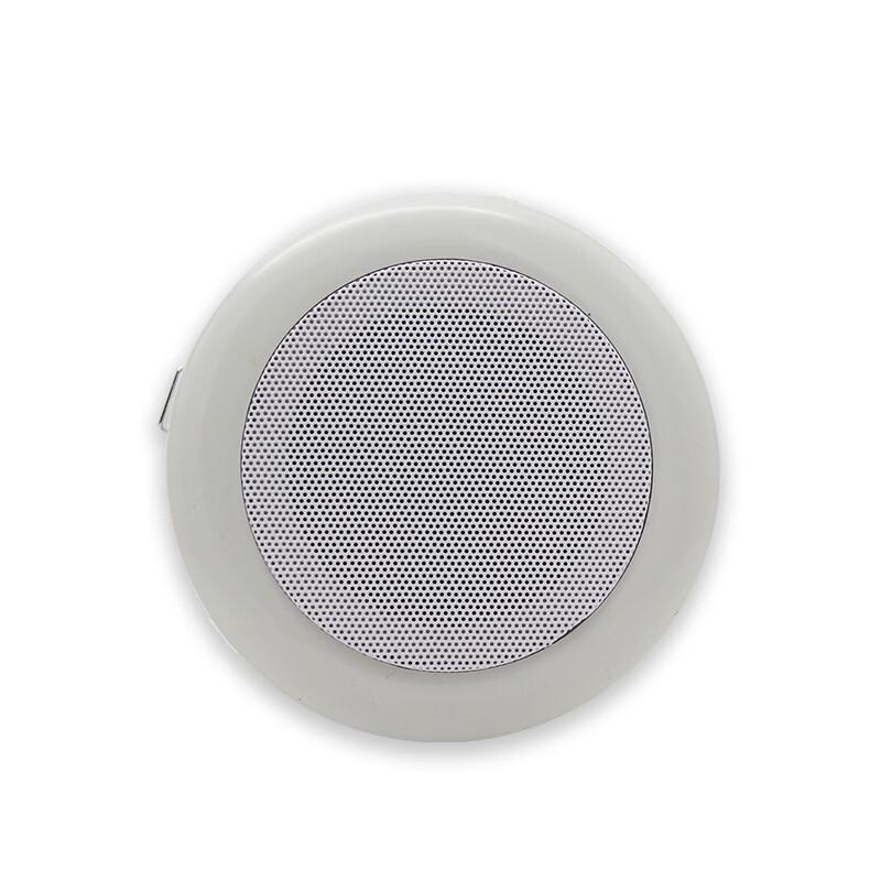 

Brangdy In-Ceiling Speaker