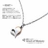 Jewel of Memory Cremation Pendant Necklace, Keepsake, Memorial Urn, Stainless Steel 316L, Men's and Women's, Includes Two Chains, Heart Shape