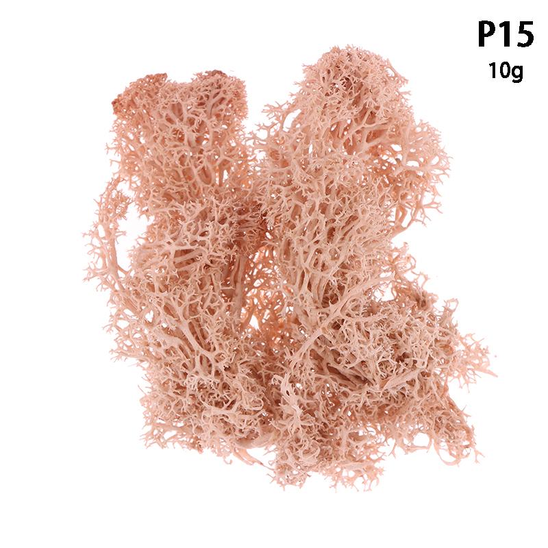 Colorful Natural Artificial Moss Plant DIY Dried Reindeer Moss Decor Resin Epoxy Filling Jewelry Garden Decorate Supplies