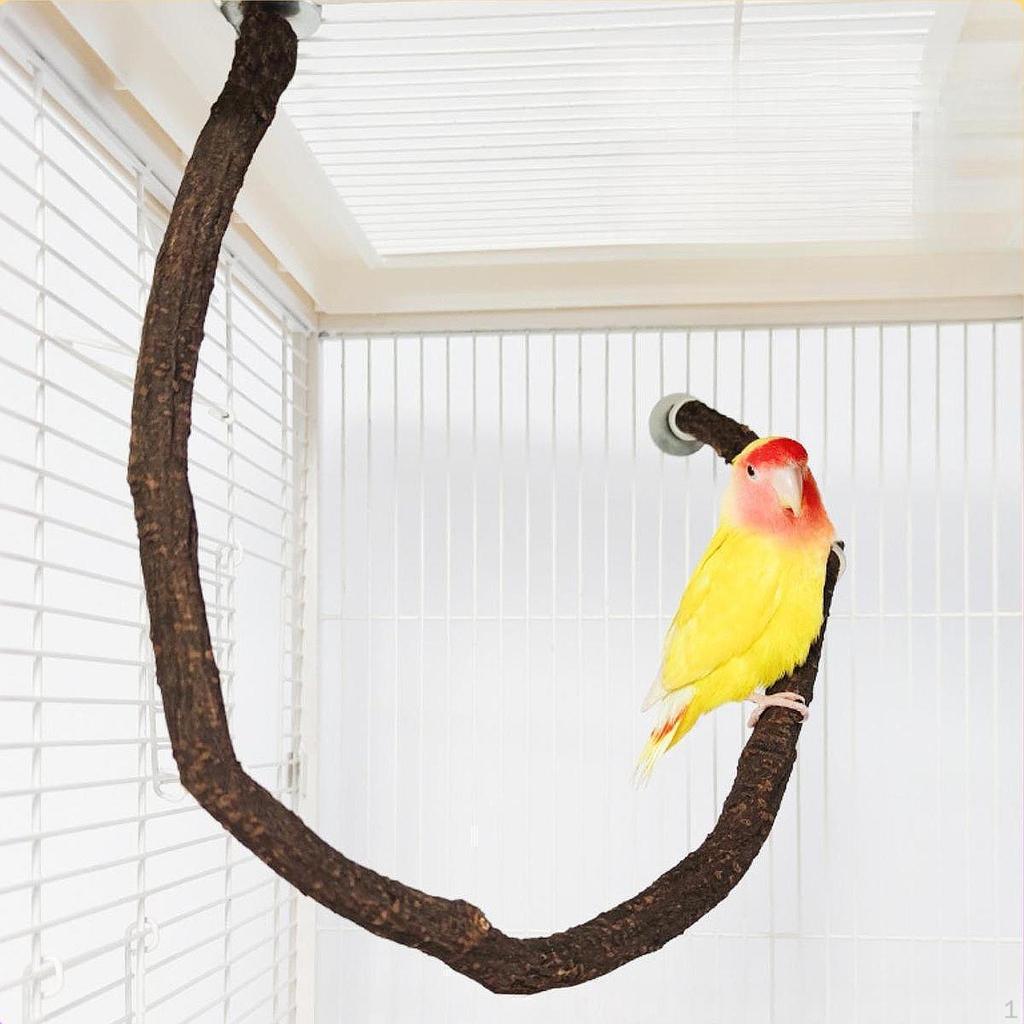 Vogelkäfig Ast Zweig, Klettern Stehen Kauen Papagei Ständer
