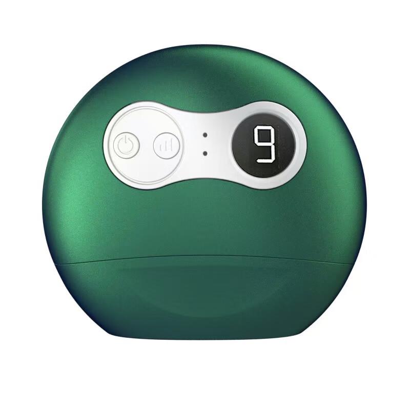 Electric Bian Stone Gua Sha Facial & Body Massager