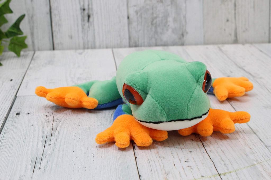 Take Off Animania Red-eyed Tree Frog 062124