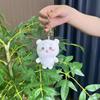 Soft Sweet And Plush Keychain Collection Featuring Adorable Bear Cat And Designs Bunny