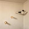 Katzen Wand Versteck Haus Hängematte Kletterregale Mond Sitzstangen Bett Leiter Massivholz Stufen Für Aktivität Indoor Katzen Wandmöbel
