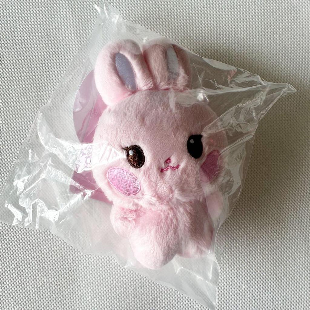 [USED] ANITEEZ POPUP Dongbyori Plush Doll with Trading Card (Sunhwa)