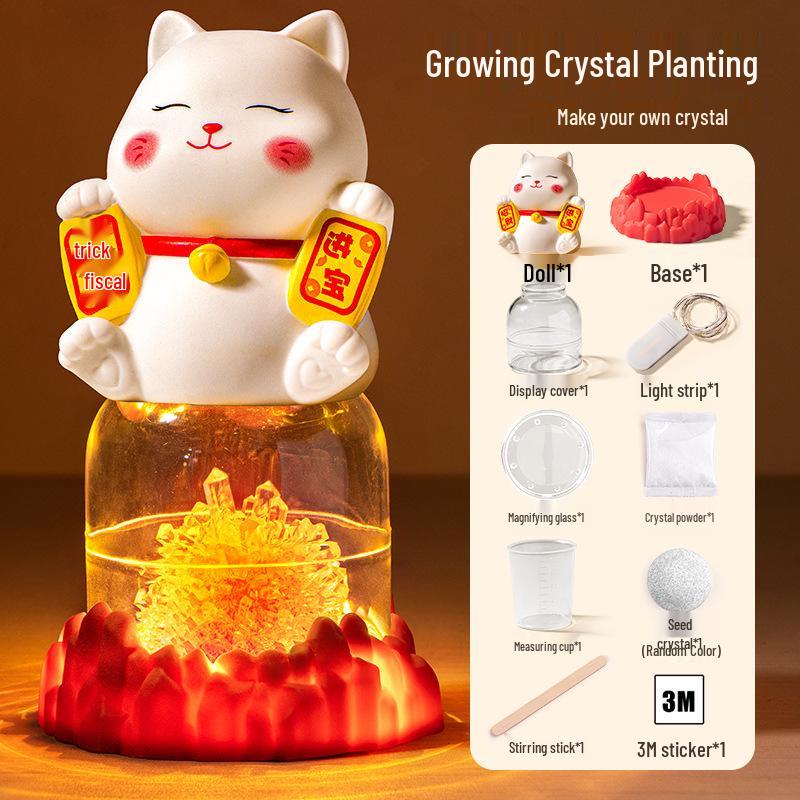 DIY Crystal Planting Science Kit for Primary Students - Educational Experiment Toy