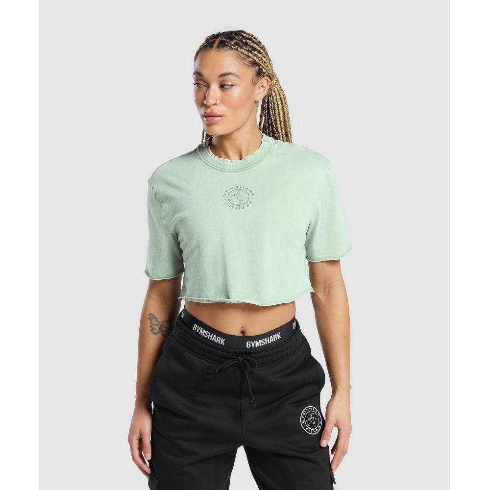 

GYMSHARK Legacy Укороченный топ выцветшего зеленого цвета B6A2V ECK3 XXS