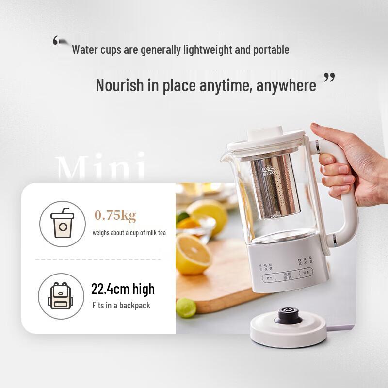 Bear 0,6L Mini Gezondheidspot & Theemaker