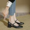 TEAHOO 2024 Sapatos Loafer Femininos Retro Mary Jane Bico Quadrado Salto Grosso