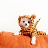 Puppy Tiger Hoodie Warm Fce Lined Dog Clothes Autumn Winter Tiger Transformation Suit for Bichon Pomeranian Four Legged Suit