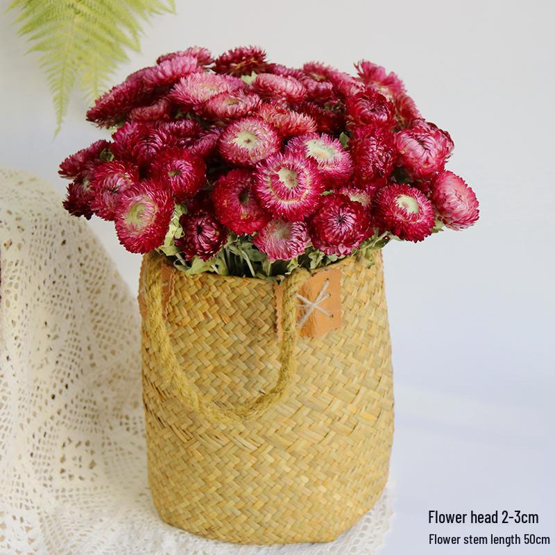 Daisy Dried Flower Bouquet for Living Room and Bedroom Décor - Natural Yunnan Flowers for Display or Photo Props